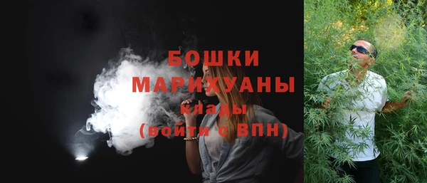 прущие грибы Магас