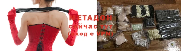 прущие грибы Магас