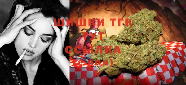 прущие грибы Магас