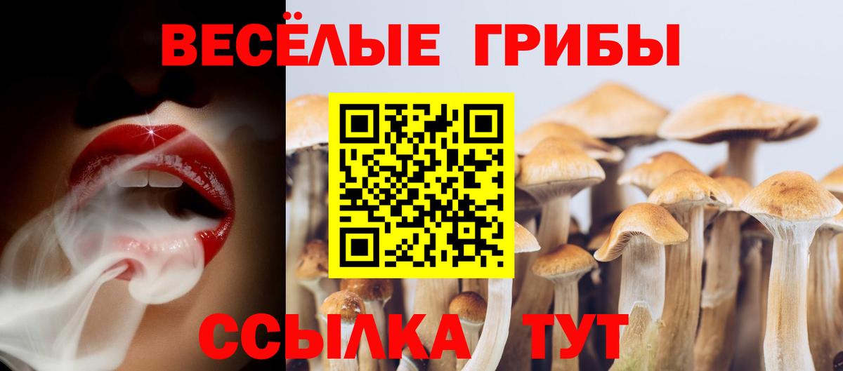 Галлюциногенные грибы мухоморы  Псилоцибиновые грибы Cubensis  Карачаевск  Вход с VPN 