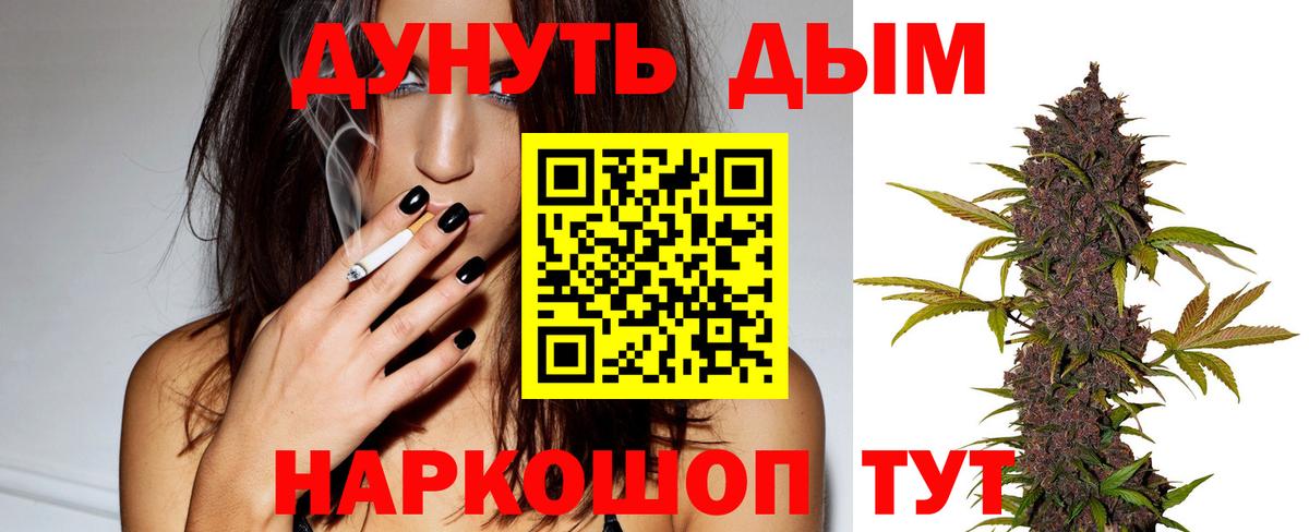Шишки марихуана марихуана Карачаевск